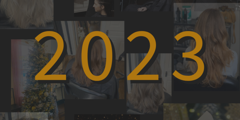 Salon Veritas 2023 Year in Review