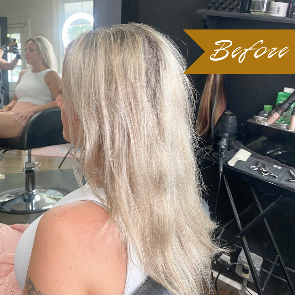 Salon Veritas Before Hair