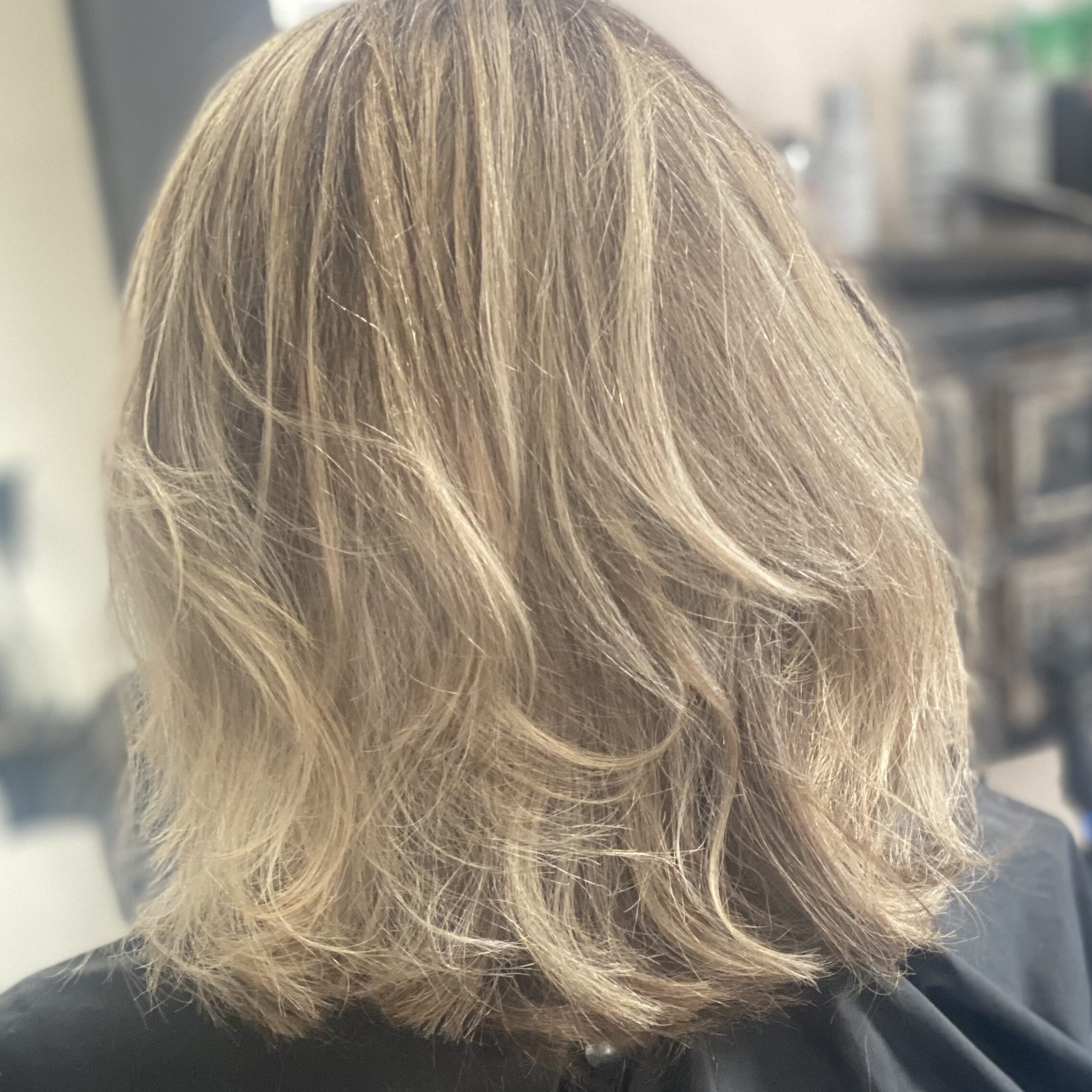 Before and after haircut and balayage highlights at Salon Veritas