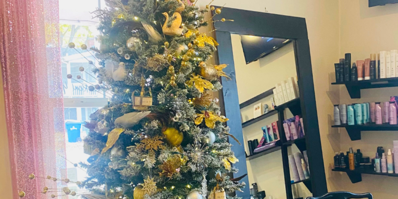 Salon Veritas Holiday Trees