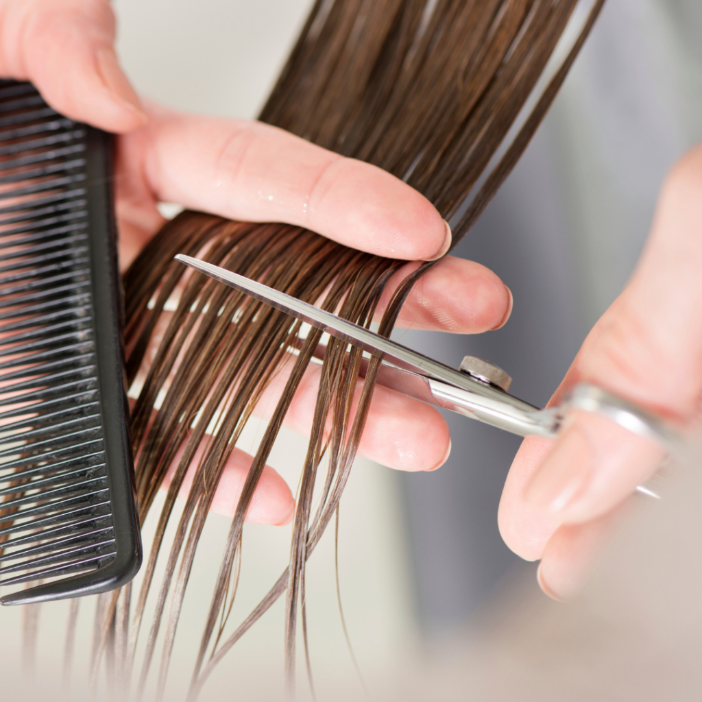 Salon Veritas in Midtown Raleigh Hair Cut