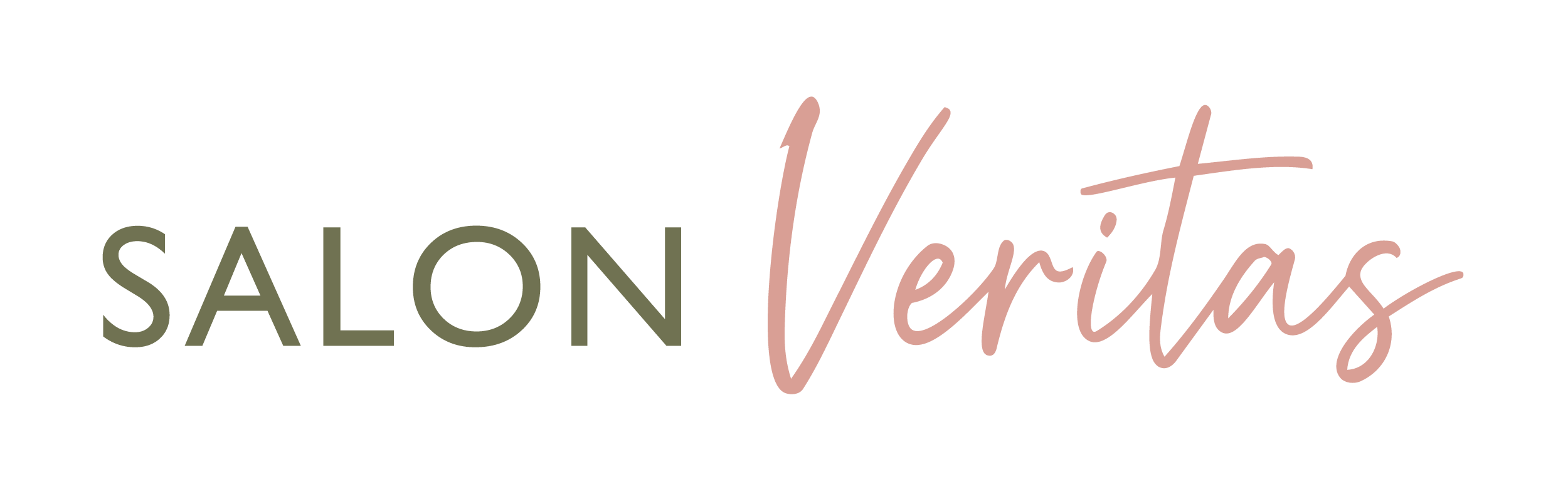 Salon Veritas logo